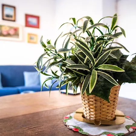 Lägenhet Stefania Flat - Center Amalfi